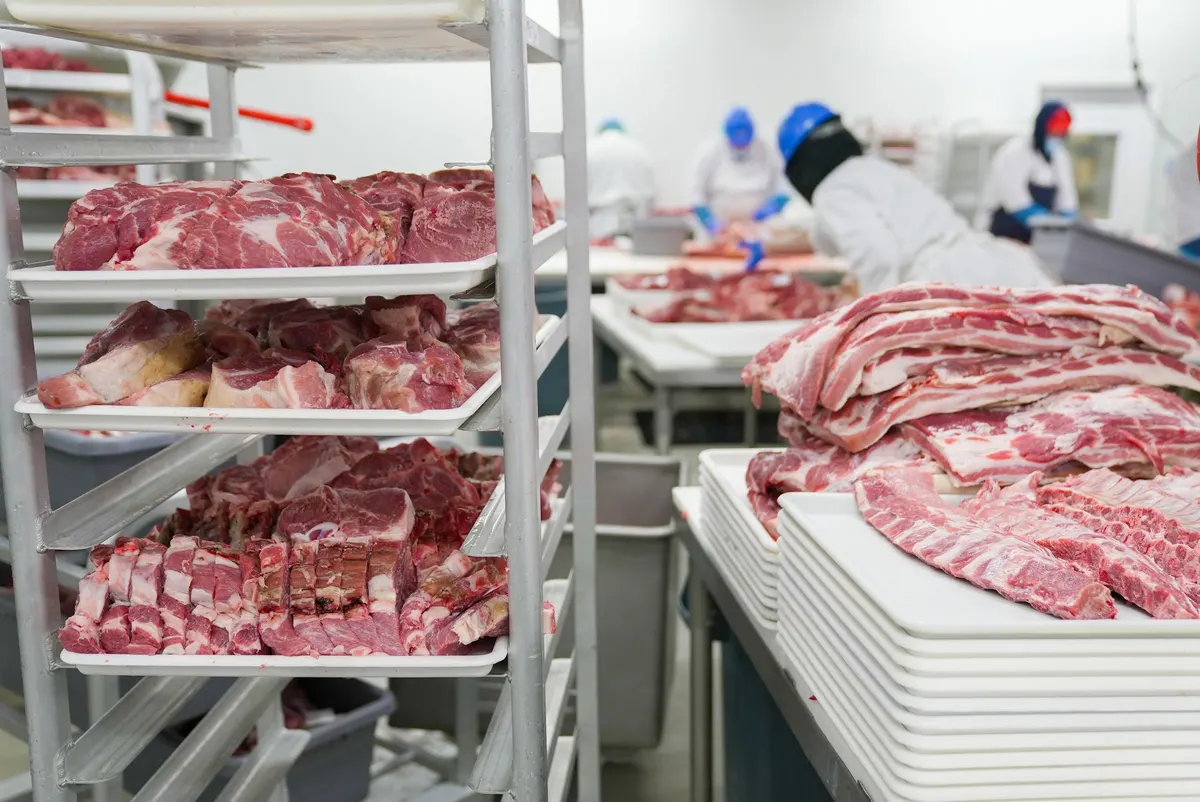 Meat cuts portioned onto trays in a processing room