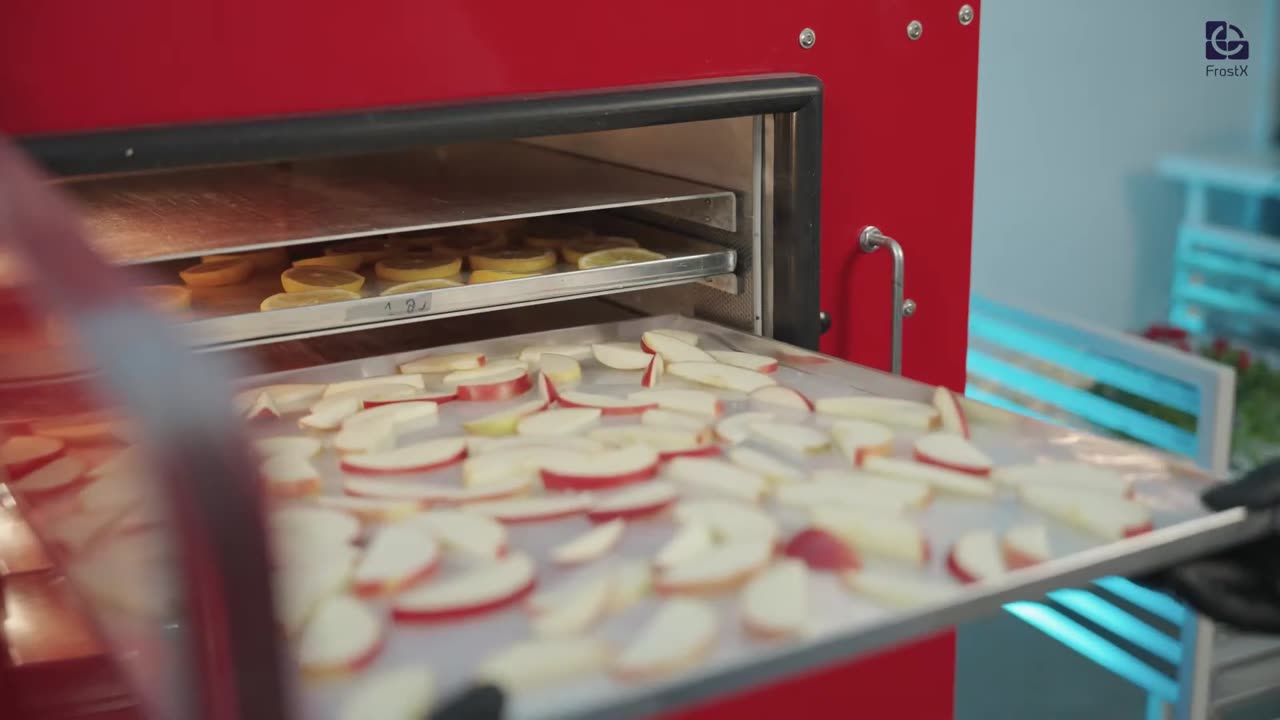 FrostX freeze dryer in operation — full cycle